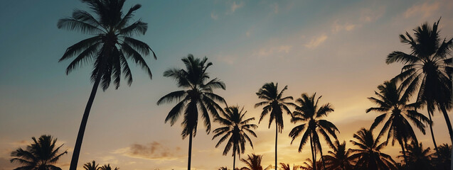 Fototapeta na wymiar Palm Trees Silhouetted on Beach at Sunset