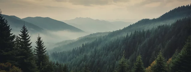 Fotobehang Dense Fir Forest in Misty Mountain Landscape © @uniturehd