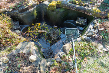 Gartenteich  reinigen 