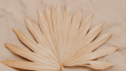 Palm leaf on linen cloth top view. Palm leaf background for design, template or poster, banner size, neutral aesthetic style
