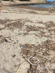 Ocean Pollution Crisis: Accumulation of Plastic Waste Along the Shoreline