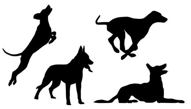 Set of Dogs Silhouettes, Collection, Black, Pose, Isolated, Jump, Stand, Run, Sit, Animal, Pet, Vector Illustration