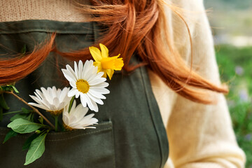 Unrecognizable redhead woman gardener in sweater and green apron with white daisy and yellow...