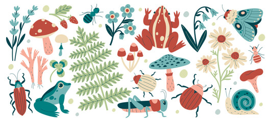 Wild nature of forest collection with plants and leaves, frogs and insects set vector illustration © Mykola Syvak