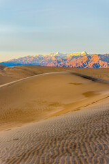 Afternoon Glow: 4K Ultra HD Image of Sand Dune with Afternoon Light