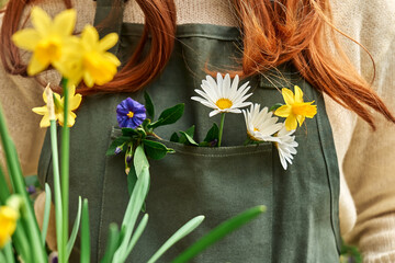 Unrecognizable redhead woman gardener in sweater and green apron with blue flowers, white daisy and...