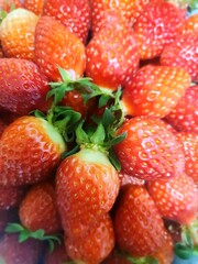 strawberries in a bowl