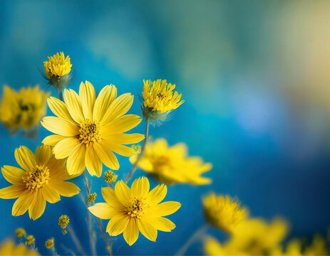 Detalhe de um jardim com flores amarelas e fundo azul desfocado.