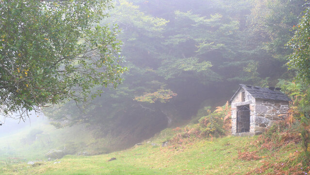 Misty Beech Forest of Cangas de Onis with Rustic Hut
