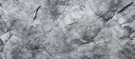 A detailed black and white image showcasing the texture and intricate details of a rock wall, with layers of light gray granite forming a solid structure.