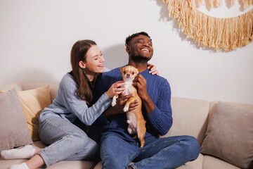 Smiling interracial couple playing with pet at home in living room 