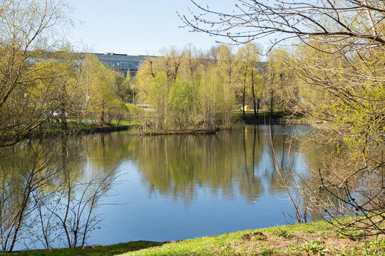 Lake in a city park in the spring. Spring city landscape. Reflection of trees in the water of a pond