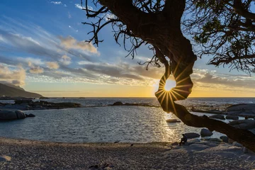 Rolgordijnen Camps Bay Beach, Kaapstad, Zuid-Afrika peaceful sunset over a tidal pool with sparkling sunlight