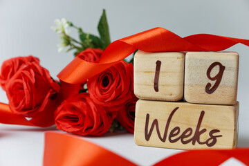 19 week gestational age milestone written on a wooden cube with red roses and ribbons, and a white...