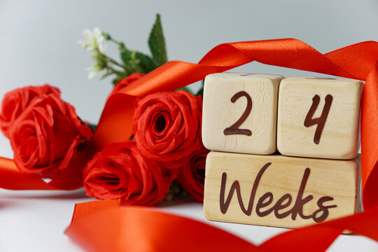 24 week gestational age milestone written on a wooden cube with red roses and ribbons, and a white background