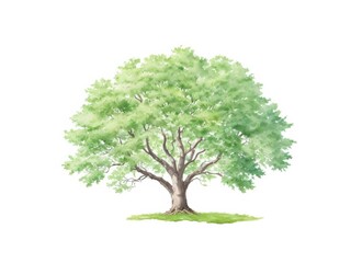 Image of a single green tree in watercolor on a white isolated background. Generative AI.