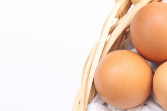 egg