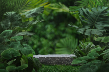 Stone tabletop podium floor in outdoors tropical garden forest blurred green leaf plant nature...