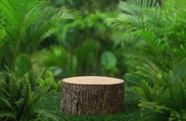 Wood podium table top floor in outdoors tropical garden forest blurred green leaf plant nature background.Natural product placement pedestal stand display,jungle paradise concept.