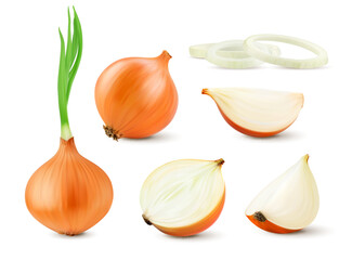 Realistic raw onion whole vegetable in slices, rings and half cut, isolated vector 3D food. Fresh onion bulb with green sprout shoots, cut in section lobule or ring slices for food product package