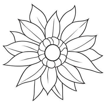 create an sunflower in a style of coloring book, black contour with white backgroung, vector illustration line art