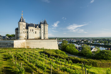 Fototapeta na wymiar Chateau de Saumur, Val de la Loire, Frankreich