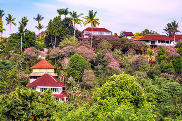 Huts among a blooming tropical forest
