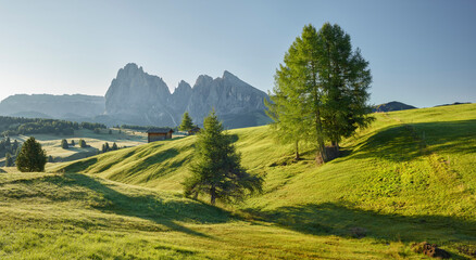 Langkofel, Seiser Alm, Südtirol, Italien