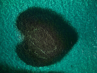 Aerial top view at Heart-shaped barrier reef. Caribbean Sea. Dominican Republic.