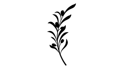 olive branch, black isolated silhouette 