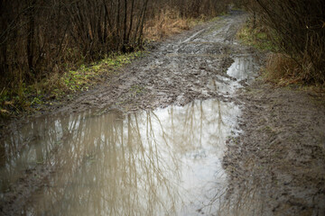Dirt path. Path in the rain. Dirt on the road.
