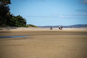 Fototapeta na wymiar family walking on a beach in tasmania australia