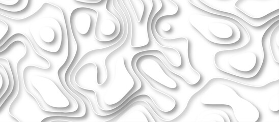 Abstract geometric layered curve line white background. 3d white papercut topography relief. Cover layout template. paper cut topography soft background banner texture. light liquid wave illustration.