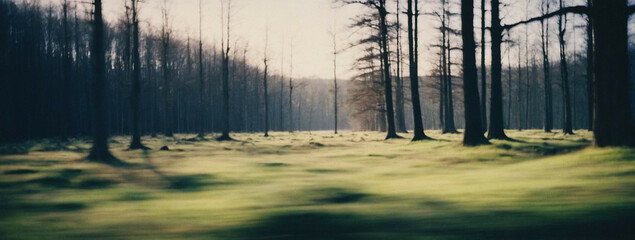 A blurry view of a forest in the early morning