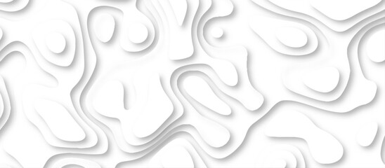 Abstract geometric layered curve line white background. 3d white papercut topography relief. Cover layout template. paper cut topography soft background banner texture. light liquid wave illustration.