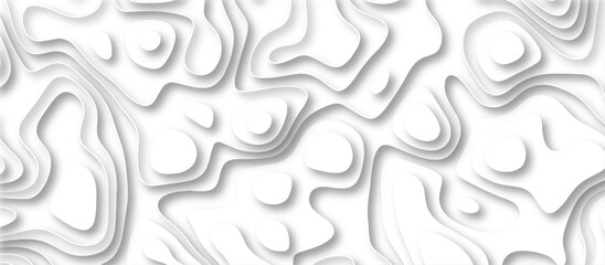 Abstract geometric layered curve line white background. 3d white papercut topography relief. Cover layout template. paper cut topography soft background banner texture. light liquid wave illustration.