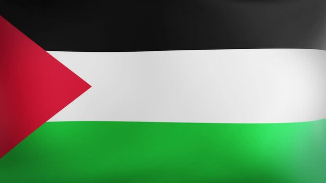 palestine flag video animation 4k