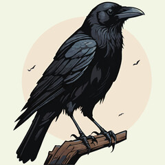 vector isolated of black crow