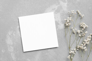 Blank greeting card mockup, flat lay with dry gypsophila flowers on trendy grey background, square...