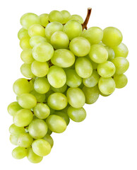 Grapes transparent PNG. Green grapes isolated on transparent or white background. - 755723256