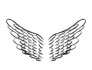 Obraz premium illustration of angel wings on white png background, sketch, drawn, isolated on white - transparent background clipart