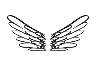 illustration of angel wings on white png background, sketch, drawn, isolated on white - transparent background clipart