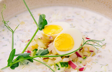Summer light cold yogurt soup close up