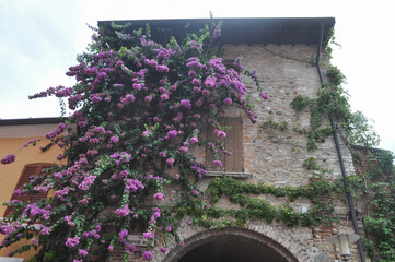 Castello Scaligero transl. Scala Castle in Sirmione - 755725613