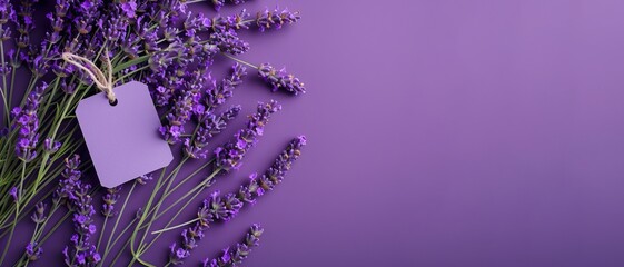 Mockup / Close up of bouquet of violet purple lavendula lavender branches ( Lavandula angustifolia...