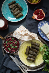 National Caucasian Armenian food. Seth from different dishes:delicious dolma - stuffed grape leaves with rice and meat,beans,jogurt,pomegranate,pita bread,pickled peppers,quince,cheese,apricots. 