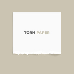 Torn paper vector. Ripped white paper with message. Realistic vector image of ripped white paper with shadows. Blank gray page with ripped one side and white paper.