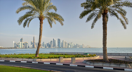 Palmen an der Corniche Promenade, West Bay, Doha, Katar