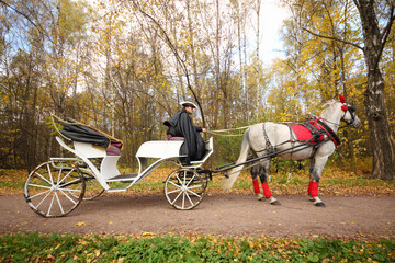 Coachman sits in coach with horse and holds reins in autumn forest