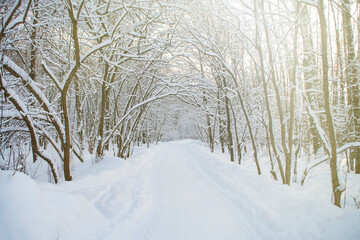 A road cleared of snow in a winter park. Calm snowy landscape. Work of municipal services in winter.